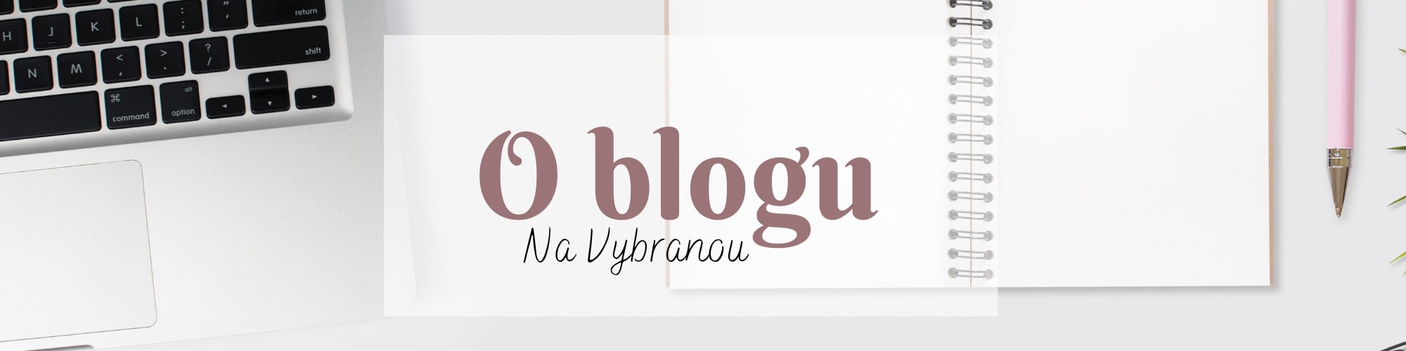 O čem je blog NaVybranou?
